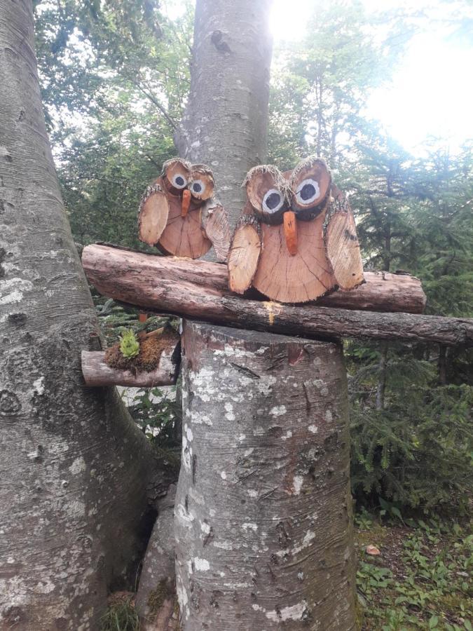 Vila Kuca Za Odmor "Med Strmci" Zlobin Exteriér fotografie
